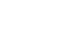 Dr. Paul Young